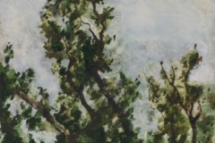 Fa-lombkorona-reszlete-e.n.-gouache-papir-21x335-cm