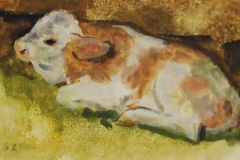 Fekvo-borju-papir-gouache-festmeny-12.1x21.1-cm