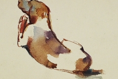 Fekvo-kutya-papir-aquarell-festmeny-20.4x31.3-cm