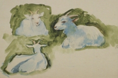 Harom-kecske-papir-gouache-festmeny-21x33.9-cm