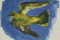 Madar-vazlat-papir-gouache-festmeny-20x28-cm