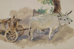 Okros-szeker-e.n.-gouache-papir-213x343-cm