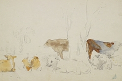 Piheno-tehenek-papir-aquarell-festmeny-20.7x33.9-cm