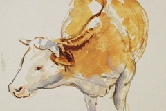 Szemben-allo-tehen-papir-gouache-festmeny-21.4x33.8-cm