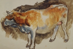 Tehen-Papir-gouache-festmeny-21.7x34-cm