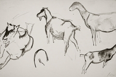 Kecskek-papir-diopac-rajz-rajz-20.9x34-cm