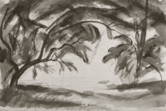 Lombos-fak-papir-tus-diopac-lavirozott-31x47-cm