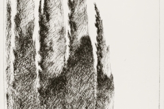 Ciprusok-papir-rezkarc-19.5x29-cm