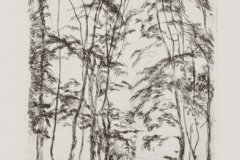 Erdoreszlet-kapuval-papir-rezkarc-27.8x16.2-cm