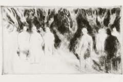 Favagok-papir-rezkarc-10.8x19.3-cm