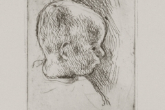 Gyermehfej-profilbol_-papir-rezkarc-8.2x6.2-cm