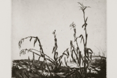 Kukoricakoro-papir-rezkarc-20.1x22.7-cm