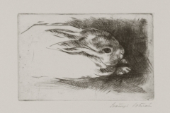 Nyuszi-papir-rezkarc-8.4x12.8-cm