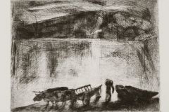 Okrosfogat-a-Dunaparton-papir-rezkarc-19.9x25.8-cm