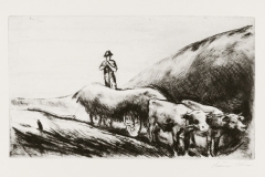 Szenasszeker_-papir-rezkarc-16.5x28-cm