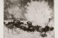 Viragzo-fa-papir-rezkarc-19.5x23.7-cm